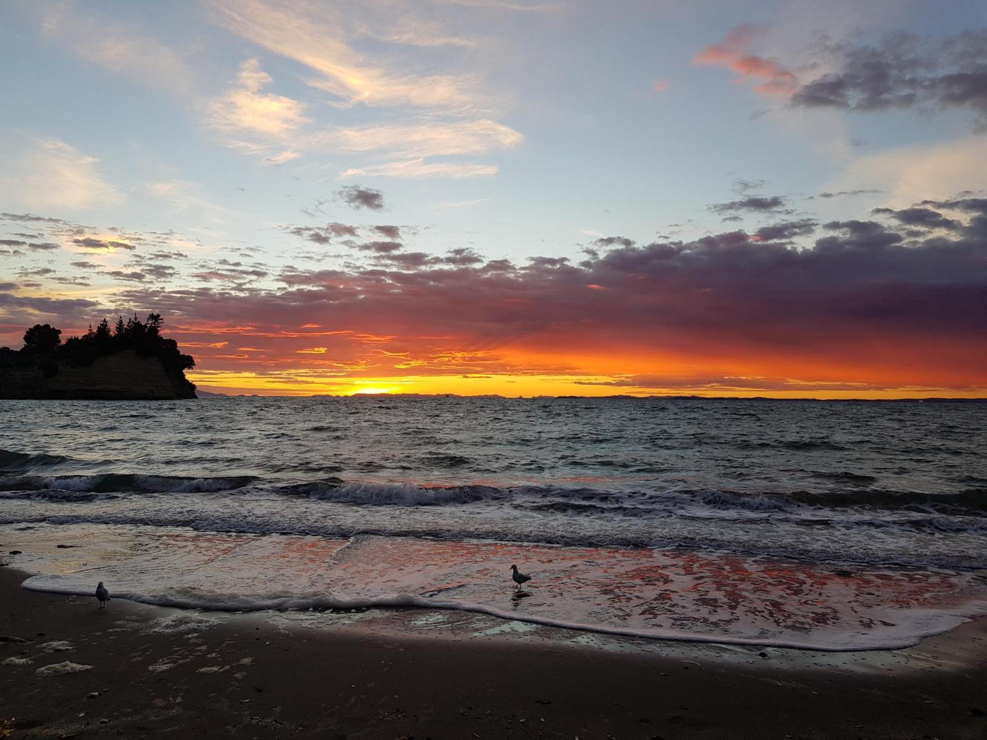 Whangaparaoa Lodge Eksteriør bilde