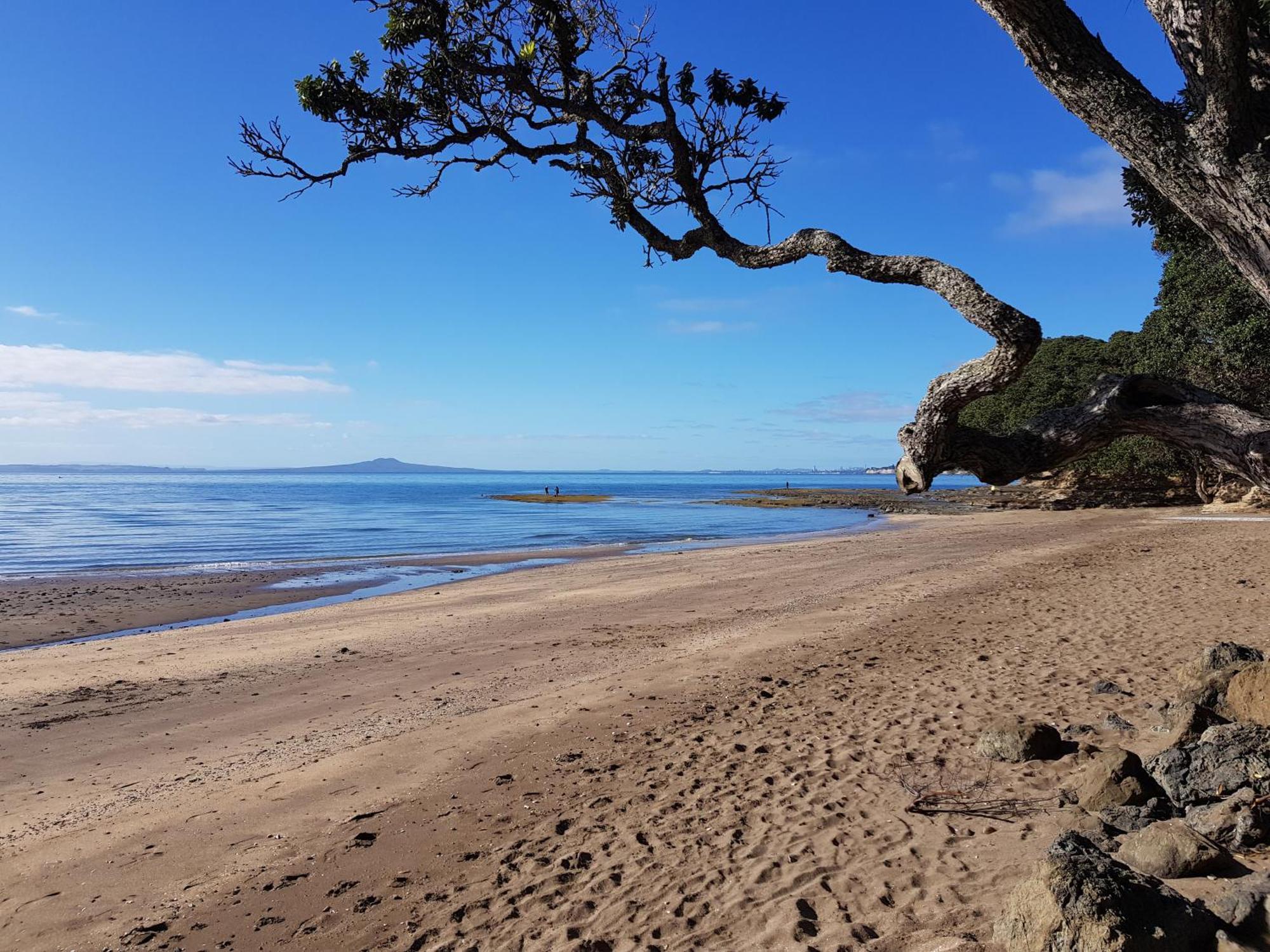 Whangaparaoa Lodge Eksteriør bilde